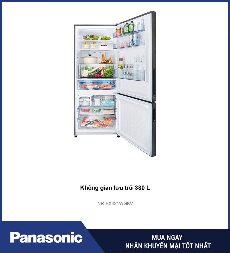 Khoang lưu trữ 380 L của NR-BX421WGKV