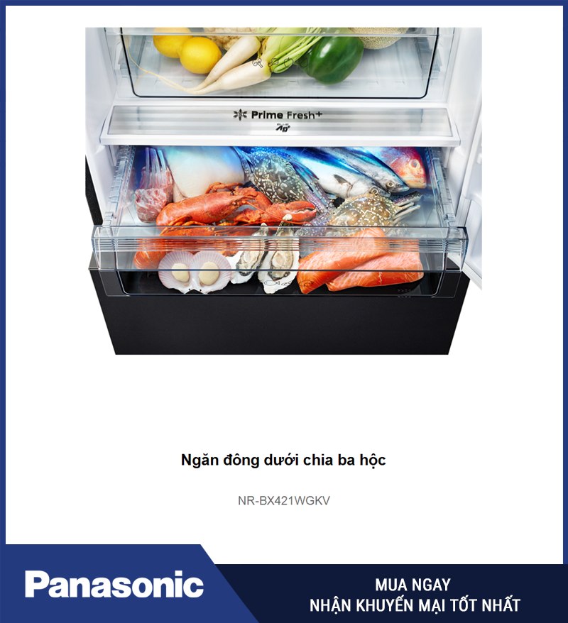 Ba hộc ngăn đông dưới NR-BX421WGKV