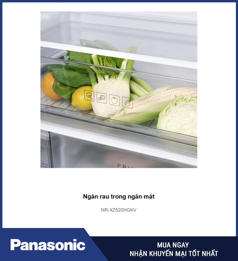 Ngăn rau trong ngăn mát