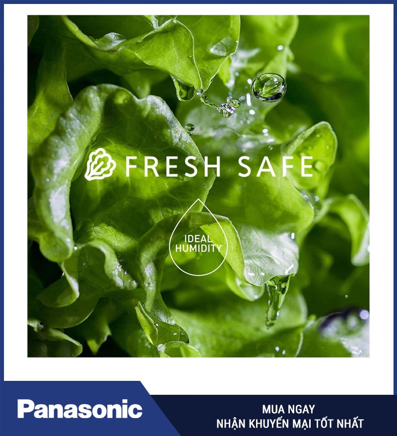 Fresh Safe duy trì độ ẩm phù hợp cho rau củ